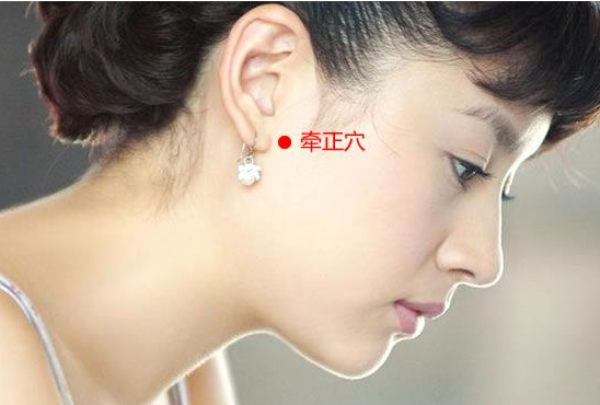 牽正穴位位置