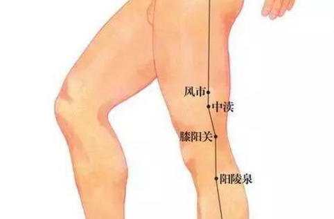 風(fēng)市穴主治疾病