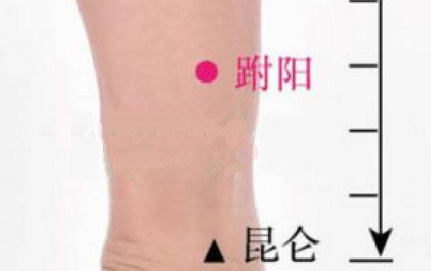 跗陽穴的功效與作用