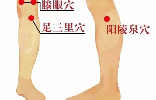 按摩陽(yáng)陵泉穴的好處