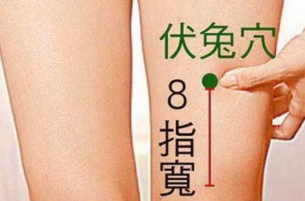 伏兔穴的功效與作用