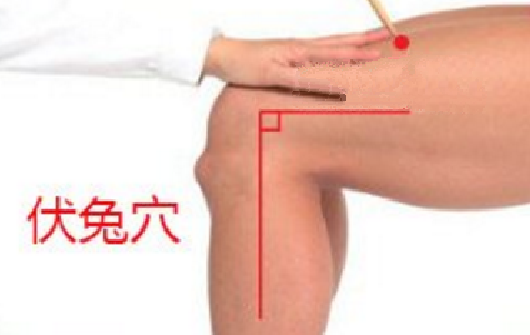 按摩伏兔穴的好處