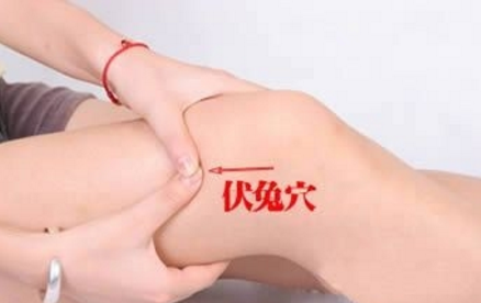 伏兔穴的標準定位