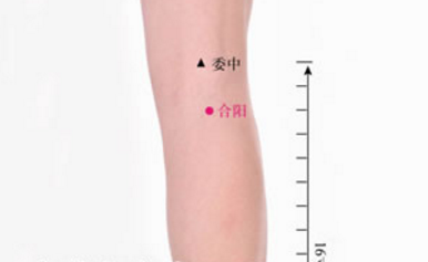 按摩合陽(yáng)穴的好處有哪些