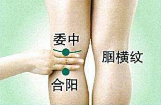 合陽(yáng)穴的功效與作用