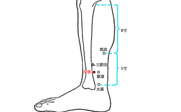 交信穴的圖片