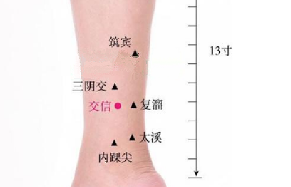 交信穴的取穴方法