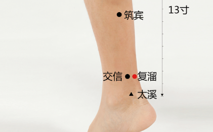 交信穴的功效與作用