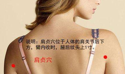 肩貞穴的位置