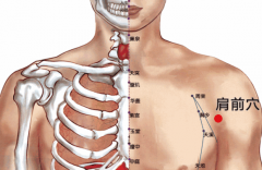 中醫(yī)按摩肩前穴防治肩臂