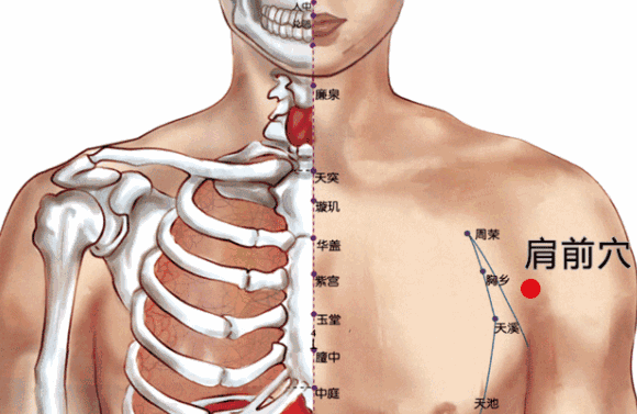 肩前穴的示意圖