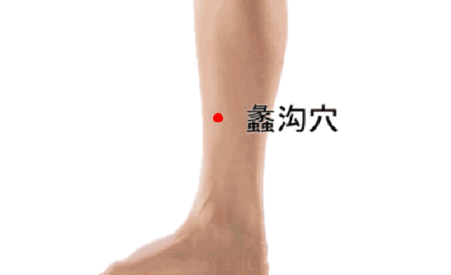 蠡溝穴的標(biāo)準(zhǔn)定位