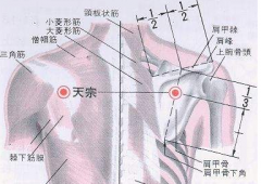 中醫(yī)按摩秉風(fēng)穴調(diào)治頸椎