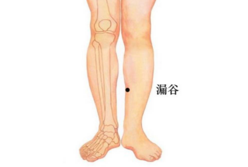漏谷穴的位置