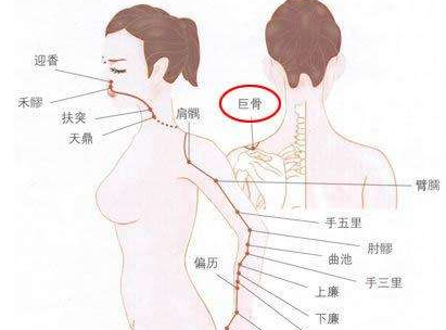 巨骨穴準確位置示意圖