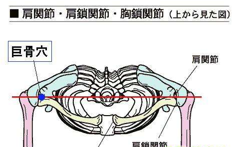 巨骨穴的功效與作用
