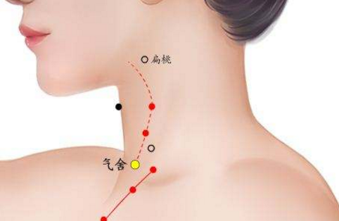 氣舍穴準(zhǔn)確位置