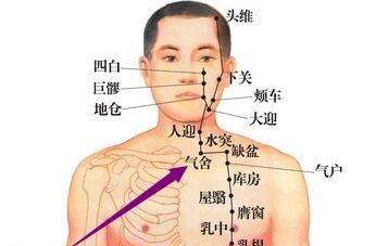 氣舍穴準(zhǔn)確位置