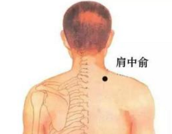 肩中俞穴的功效與作用