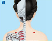 天髎穴的功效與作用