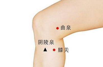 曲泉穴的功效與作用