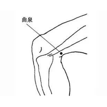 按摩曲泉穴可治肝腎陰虛，它的準確位置及其功效與作用有哪些？