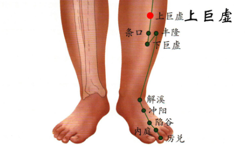 上巨虛穴疼痛怎么回事