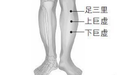上巨虛穴的位置