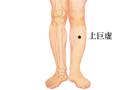 上巨虛穴主治疾病