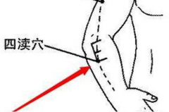 中醫(yī)按摩四瀆穴的好處及其四瀆穴的功效與作用！