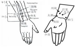 中醫(yī)教你按摩會宗穴治療耳鳴，但你知道會宗穴的準確位置嗎？