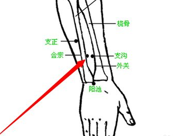 會(huì)宗穴的示意圖