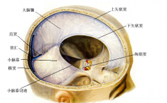頭皮血腫需要休息多長時(shí)間恢復(fù)？頭皮血腫的護(hù)理方法