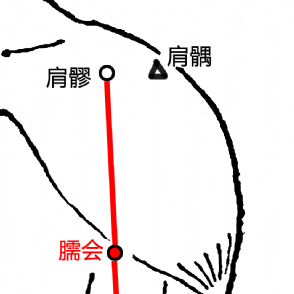 臑會穴的示意圖