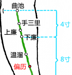 偏歷穴準確位置