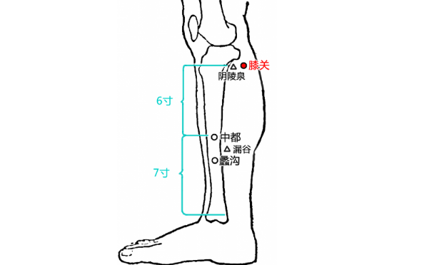 膝關穴的圖片