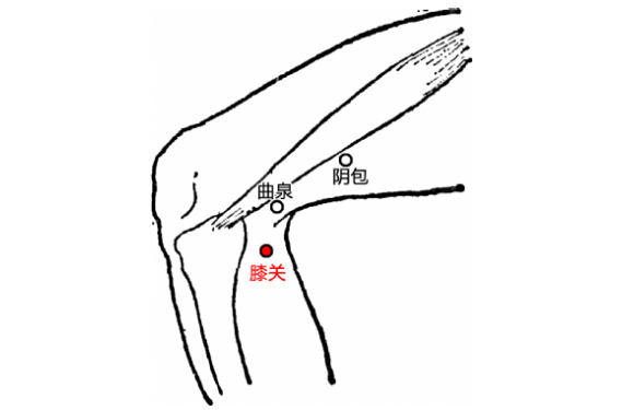 膝關穴疼痛怎么回事