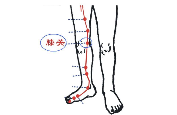 膝關穴的功效與作用