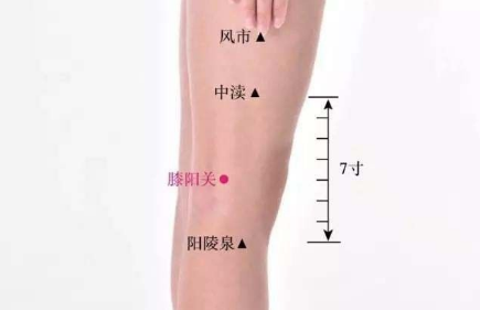 膝陽關穴主治疾病有哪些