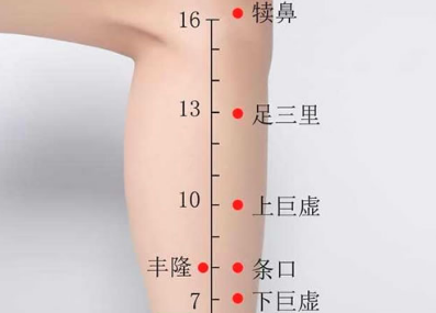 下巨虛穴的功效與作用