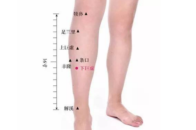 下巨虛穴主治疾病有哪些