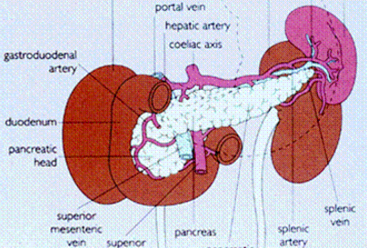 非特異性間質肺炎的癥狀表現(xiàn)
