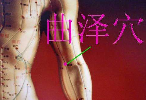 曲澤穴的準(zhǔn)確位置圖