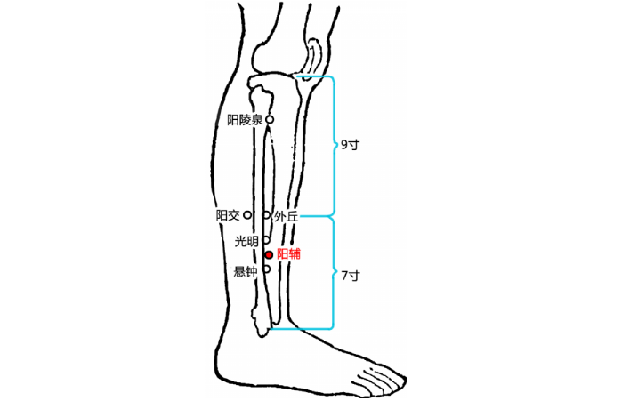 陽輔穴酸痛是怎么回事