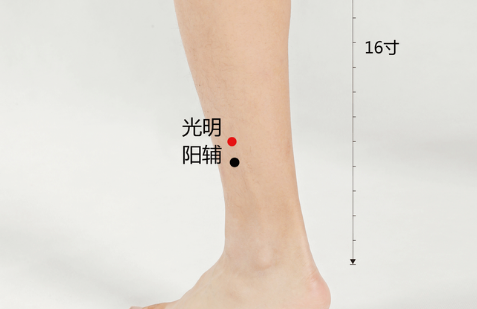 陽輔穴的取穴方法