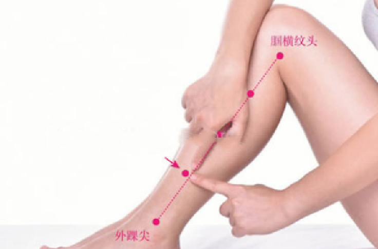 陽輔穴穴位配伍