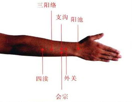 三陽絡(luò)位置