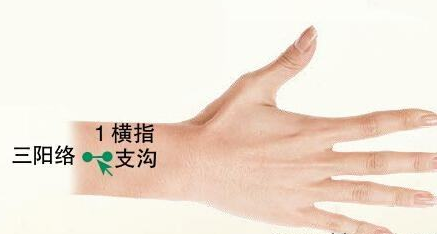 三陽絡(luò)的圖片