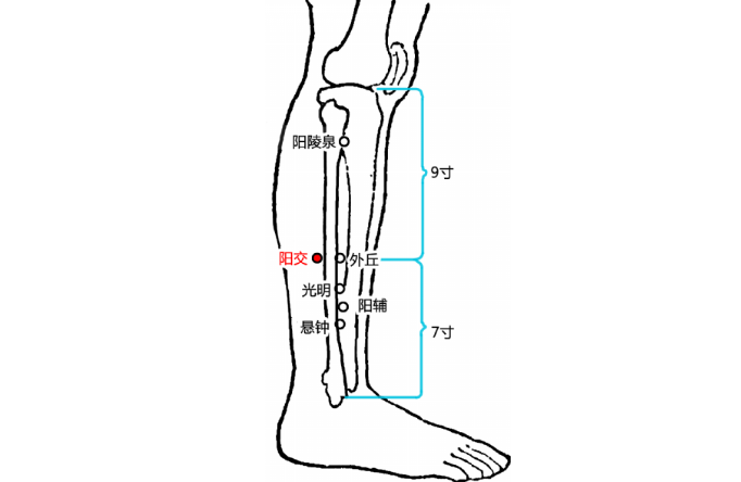 陽交穴疼怎么回事