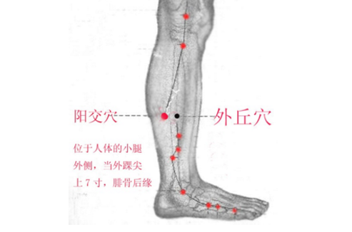陽交穴圖片